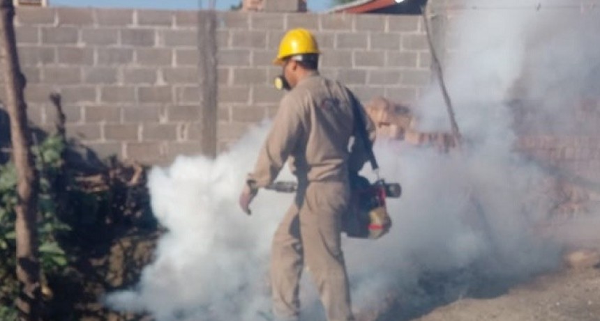 Dra. Gloria Barrionuevo:  