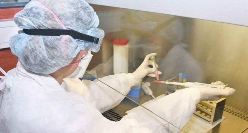 Coronavirus en Argentina: un 25% del total de infectados ya fue dado de alta