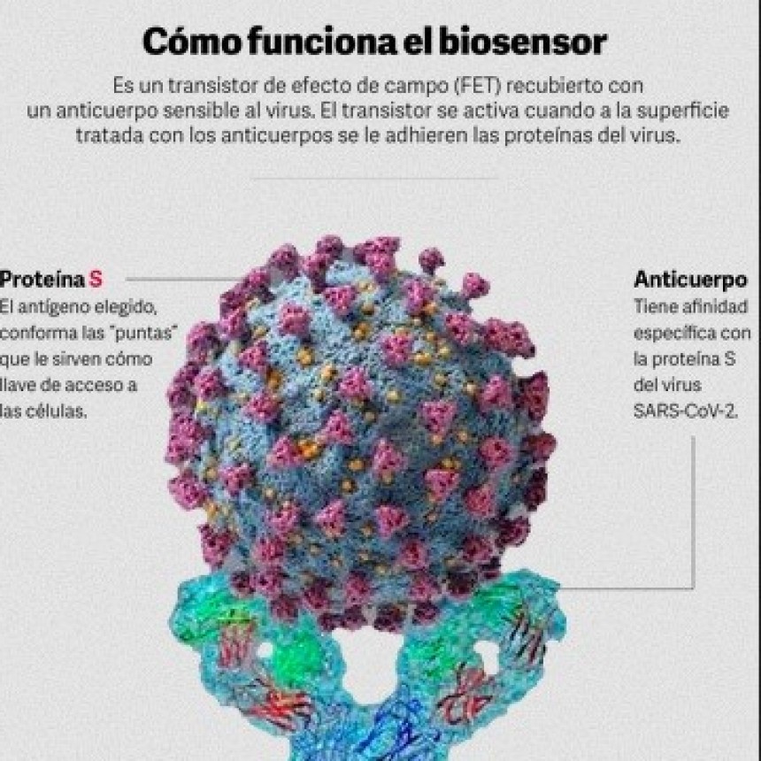 Desarrollan un test que detecta el coronavirus en menos de un minuto