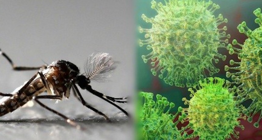 Catamarca sin coronavirus pero con 283 casos de dengue