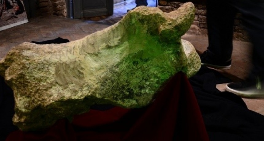 Descubren un perezoso gigante de 700 mil a&ntilde;os de antig&uuml;edad