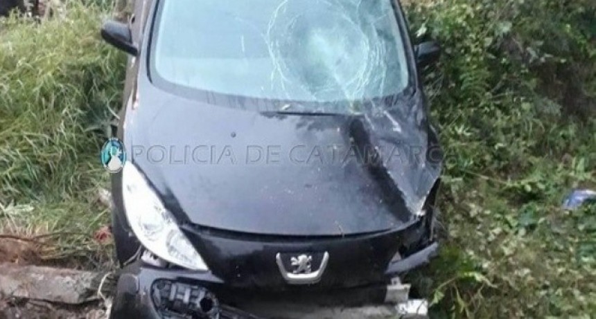 Chocó contra un poste de luz y el alambrado de una casa