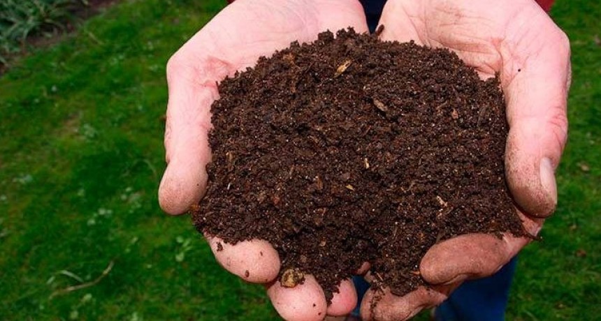 La insólita ley que tratan en los Estados Unidos: convertir cadáveres humanos en abono