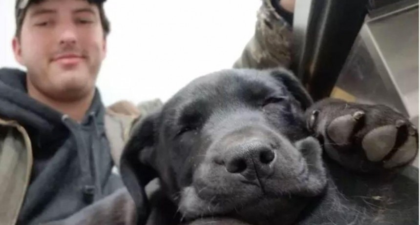 Ambos son sordos y se entienden mediante lenguaje de señas