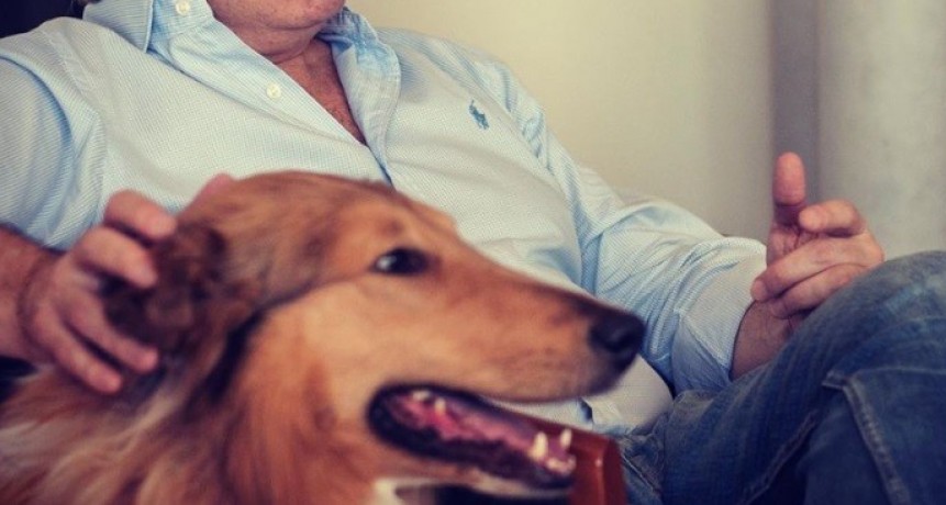 Dylan, el perro de Alberto Fernández, ya tiene sus cuentas en redes sociales