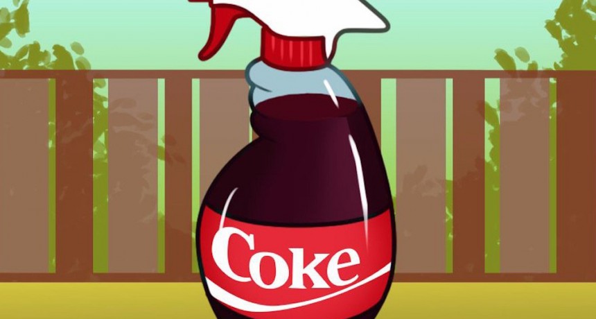 15 maneras sorprendentes de usar Cola eso es lo que usarás