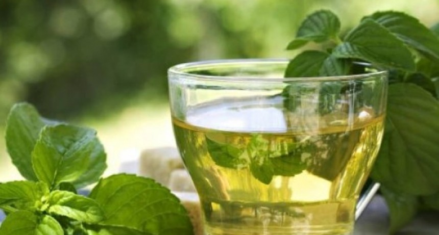 Poleo: Propiedades, Beneficios y Para Qué Sirve