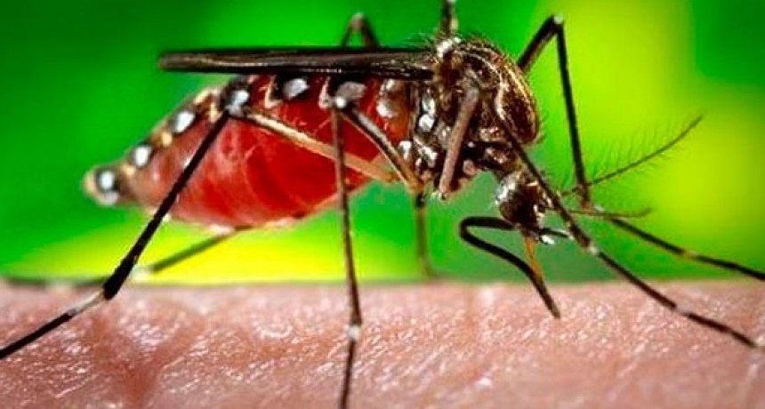 Confirman caso de dengue positivo en Catamarca