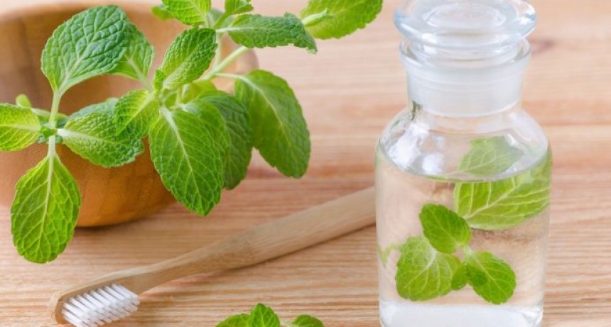 Refresca tu Aliento con este Enjuague Bucal Casero