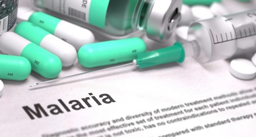 La OMS declaró a la Argentina país libre de malaria