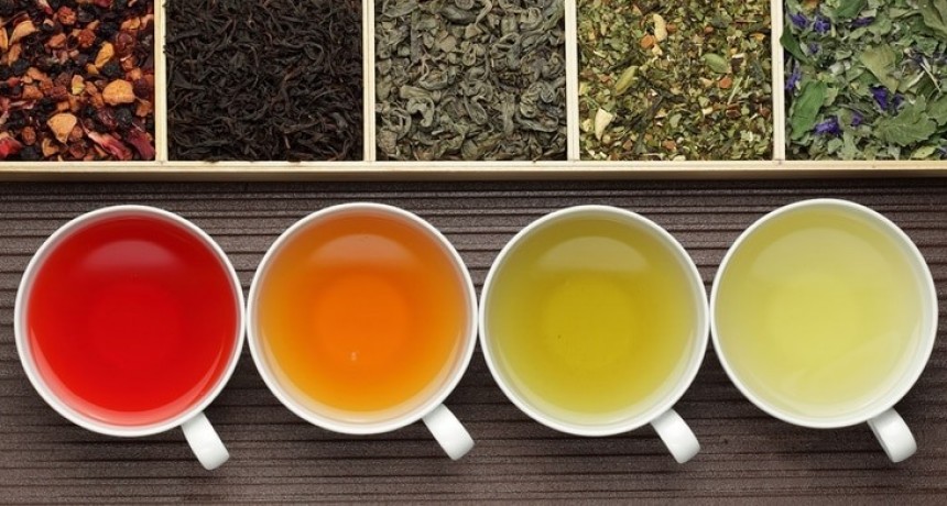 El poder de las hierbas: 10 infusiones para llegar sano y vital a la tercera edad