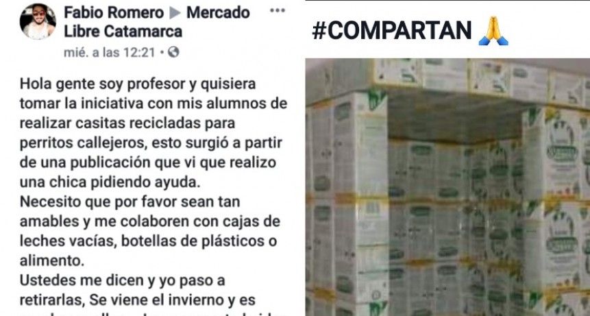 Profe pide colaboración para realizar casitas para perros callejeros
