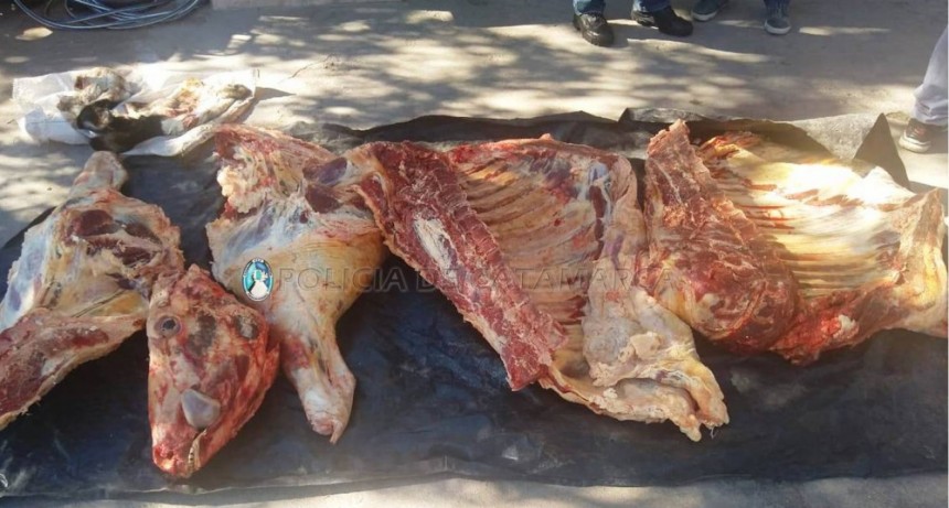 Llevaba 150 kilos de carne en una camioneta sin la cadena de frío