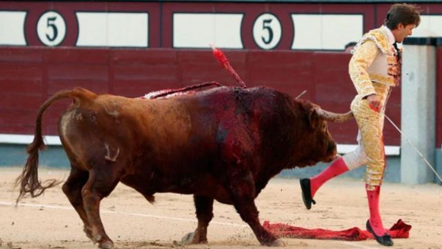 - Al torero le entró la cornada en el recto esta grave