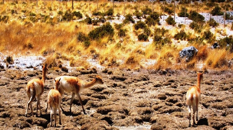 La Secretaría de Medio Ambiente en Laguna Blanca