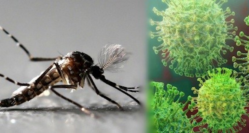 Catamarca sigue sin coronavirus pero se registraron 18 casos nuevos de dengue