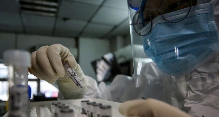 Preocupación y polémica: los tests rápidos que el Gobierno hizo traer de China son defectuosos