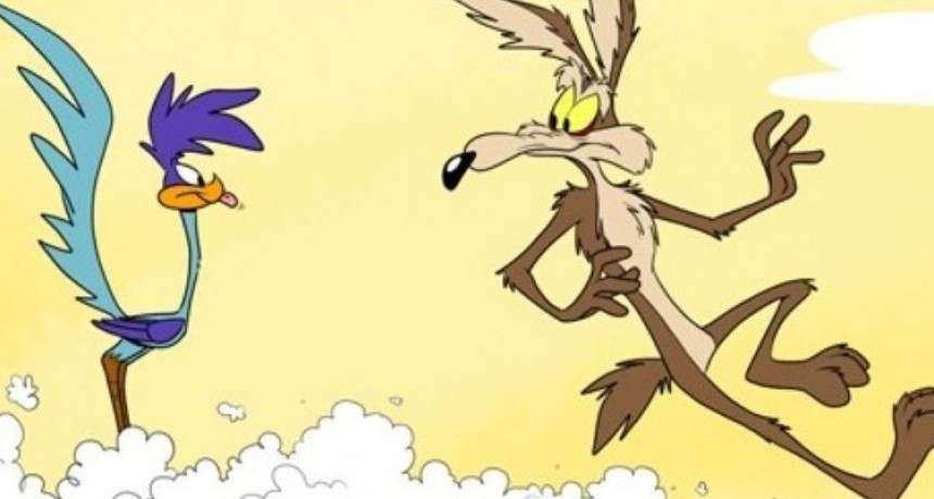  VIDEO: Así persigue un coyote a un correcaminos en la vida real (y adivinen quién sale victorioso) 