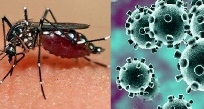 Catamarca sigue sin casos de Coronavirus ,solo dos de Dengue