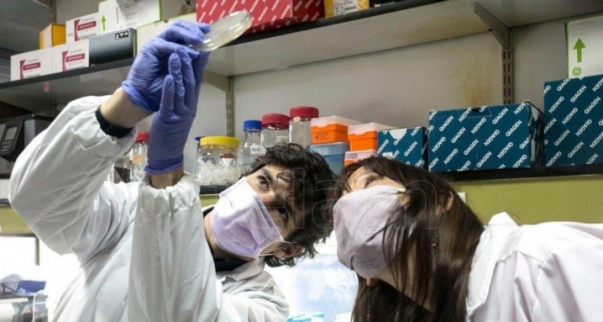 Vinculan la hepatitis grave detectada en niños con coronavirus