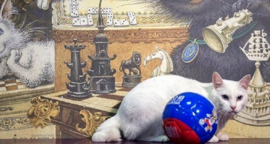 Aquiles pronosticar&aacute; los resultados en Rusia 2018