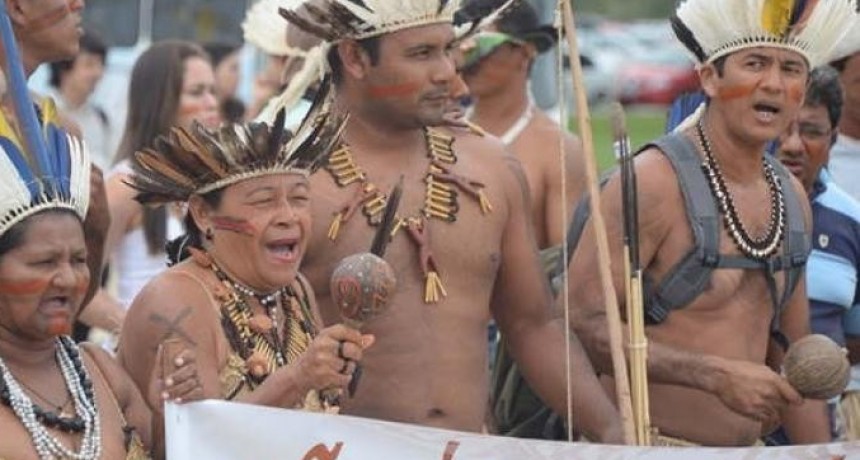 Desde el Vaticano se denunci&oacute; en un documento que existe un "neocolonialismo feroz" en la Amazonia