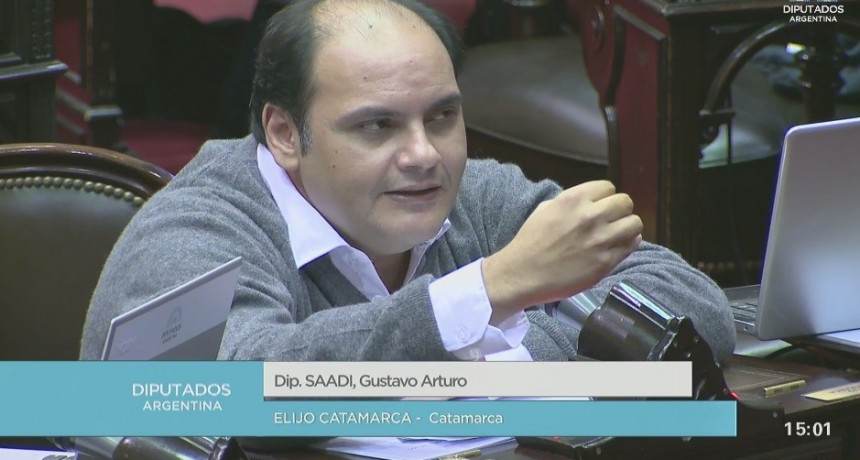 GUSTAVO SAADI: Se me hace muy dif&iacute;cil poder acompa&ntilde;ar este proyecto