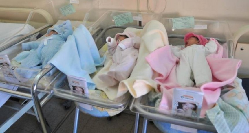 Nacieron trillizos en la Maternidad Provincial