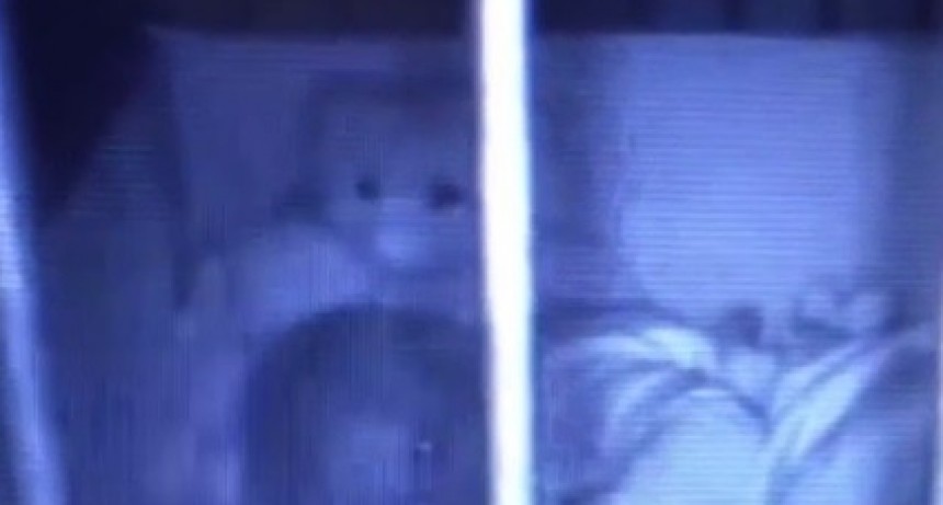 Espeluznante: un oso de peluche intenta abrazar a una beba en su cuna