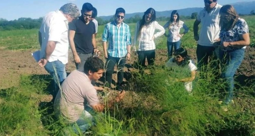 De Catamarca a Europa: dos emprendedores que comercializan espárragos orgánicos