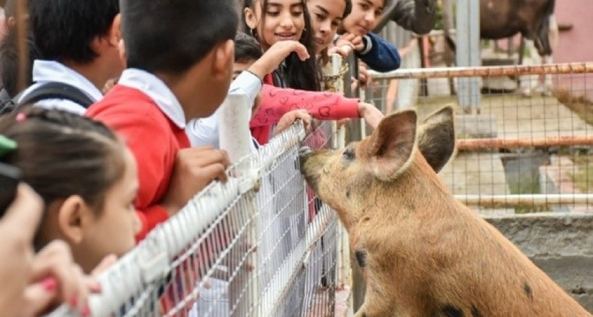 Más de 2 mil visitas a un mes de inaugurarse la Granja Educativa Municipal