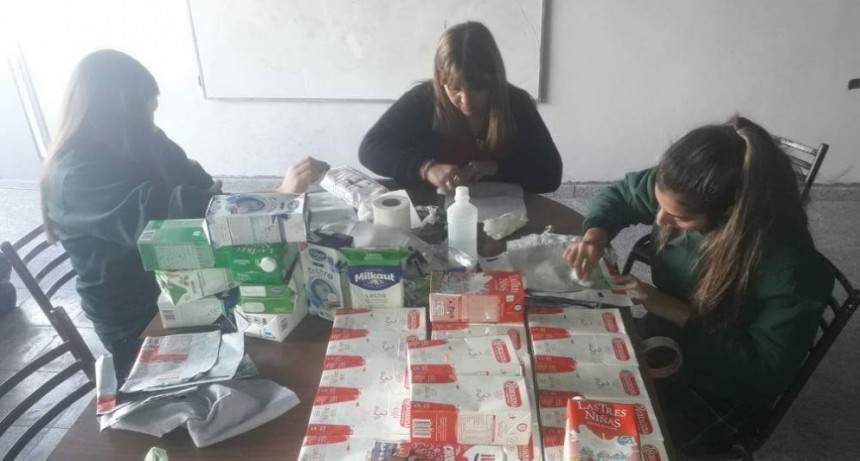 Campaña ecológica para crear refugio a los animales callejeros