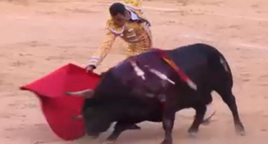 Torero fue atravesado de una cornada