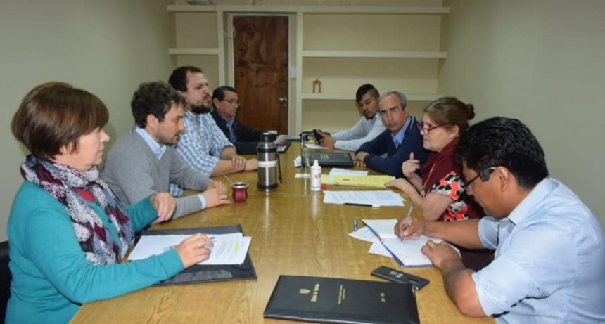 Media sanción para la adhesión a la Ley Micaela