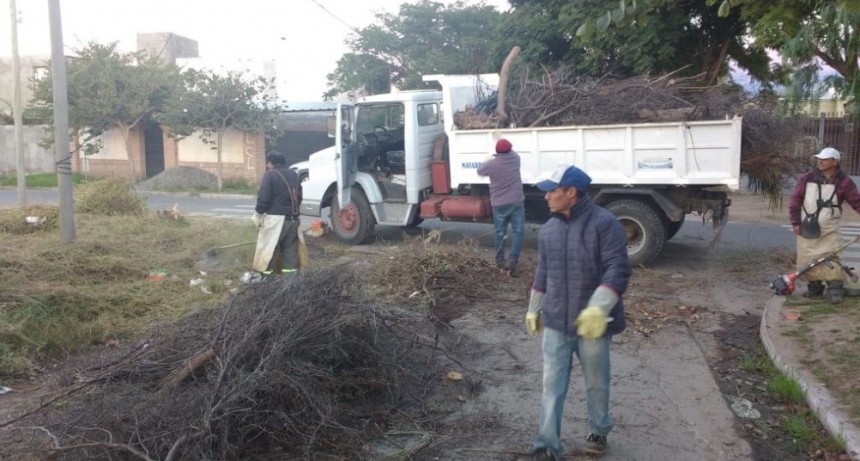 Operativos de limpieza en barrios y loteos de la ciudad