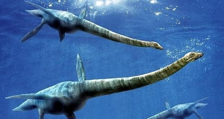 Hallan una especie de «monstruo del lago Ness» de 15 toneladas en la Antártida