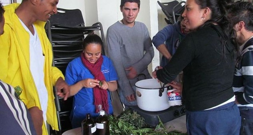 Hospital Colombiano cura a sus pacientes con plantas