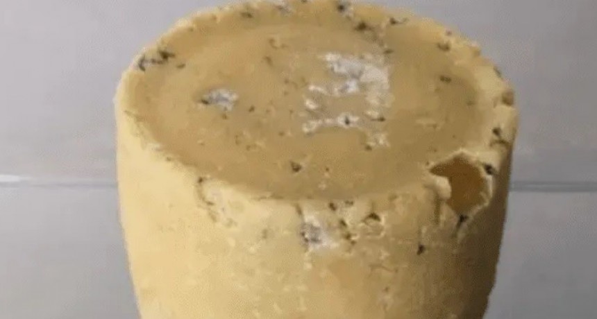 Fabrican queso con la piel de axilas, dedos de los pies y ombligos de famosos Puaj!!!