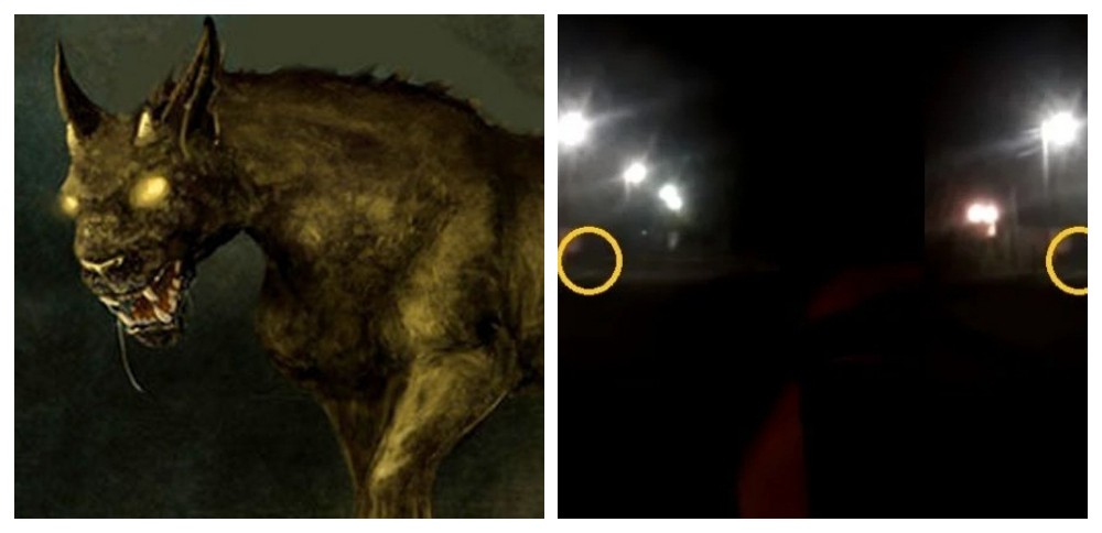 Video: ¿Apareció el Almamula en Tucumán?