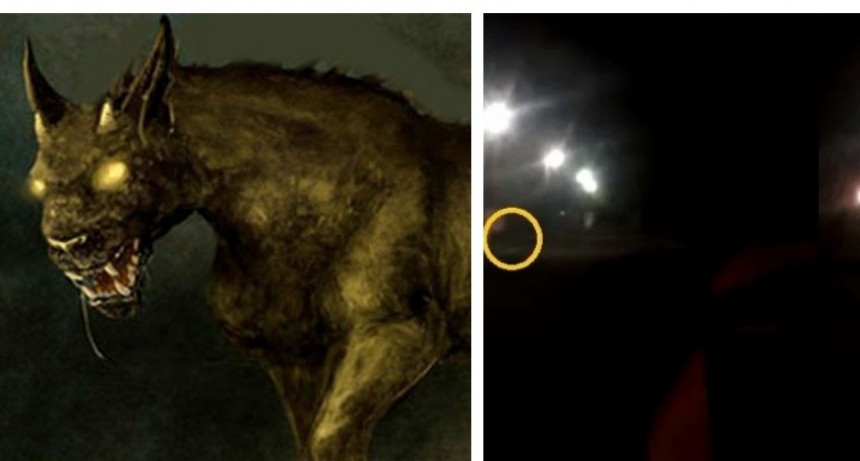 Video: ¿Apareció el Almamula en Tucumán?