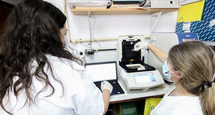 Suman 583 las víctimas fatales y 19.268 los infectados por coronavirus en Argentina