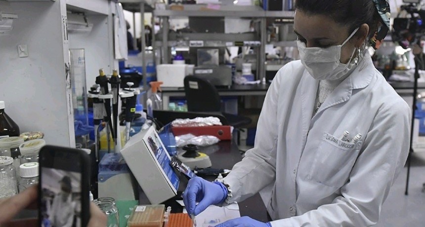 Desarrollan un cañón de ozono para desinfectar espacios públicos