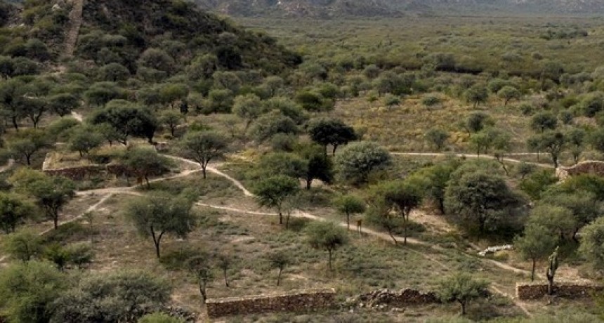 Sitios arqueológicos: Catamarca participó de la reunión virtual del QhapaqÑan Argentina