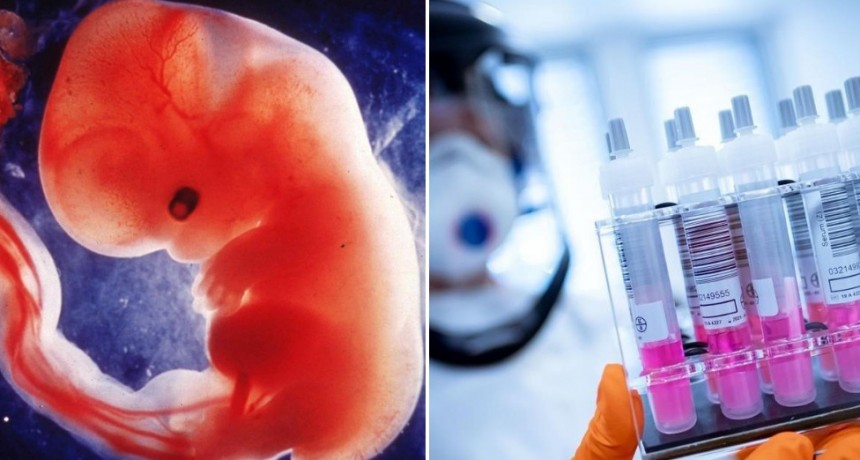 Cardenal español levantó polémica al decir en una misa que una vacuna contra el coronavirus fue elaborada a base de células de fetos abortados