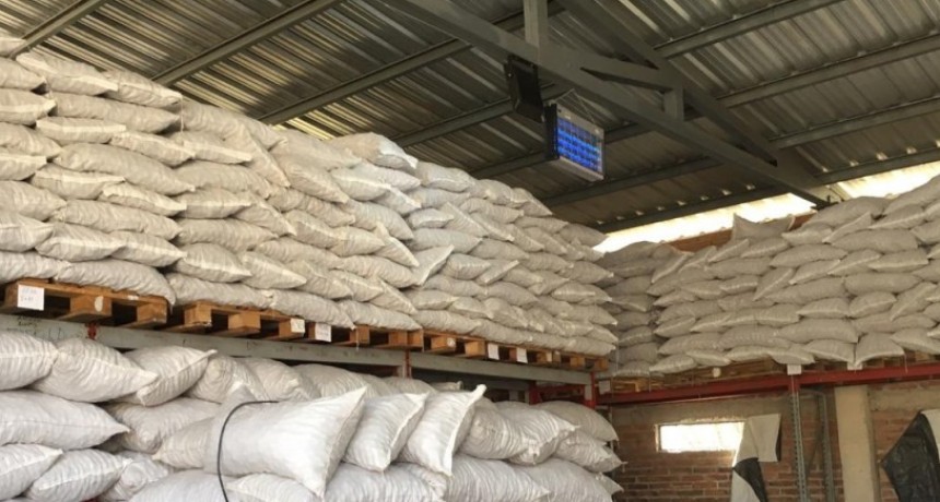 Catamarca  Reporte de Actividad Oficial