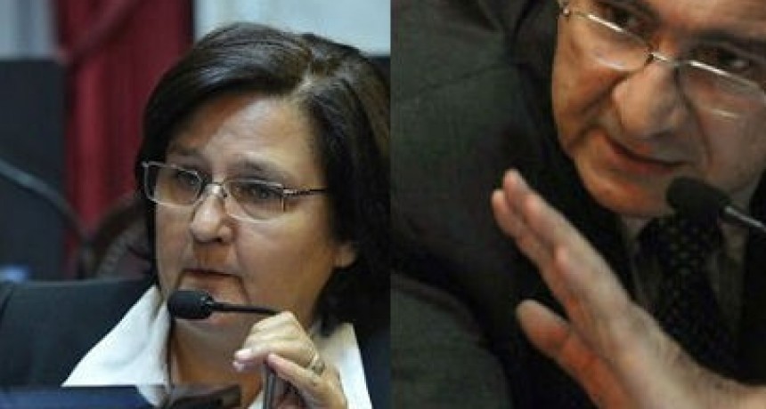 Aborto: Hoy da inicio el debate de comisi&oacute;n en el Senado