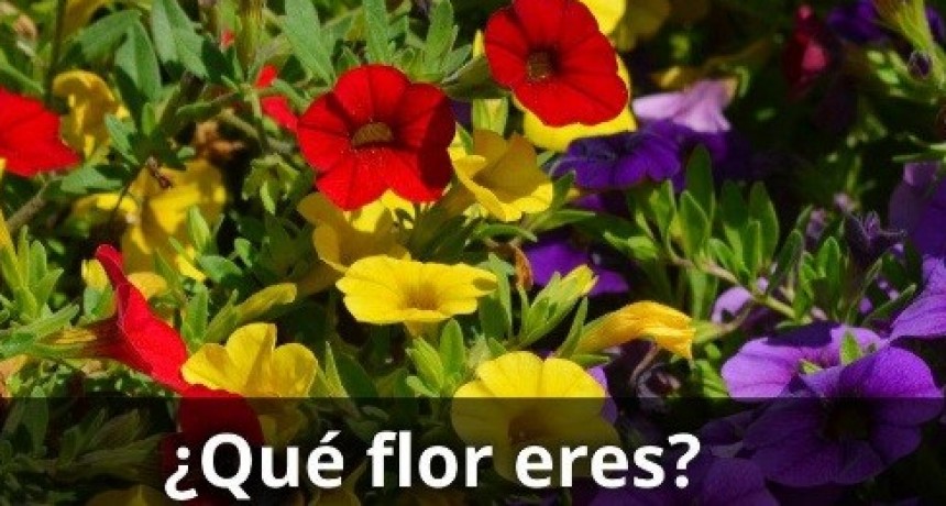 &iquest;Qu&eacute; FLOR sos de acuerdo a tu fecha de Nacimiento?