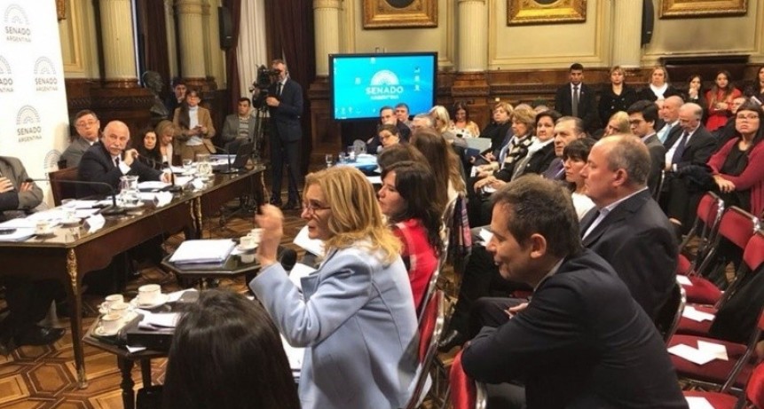 Aborto legal: arranca la segunda semana de audiencias en el Senado