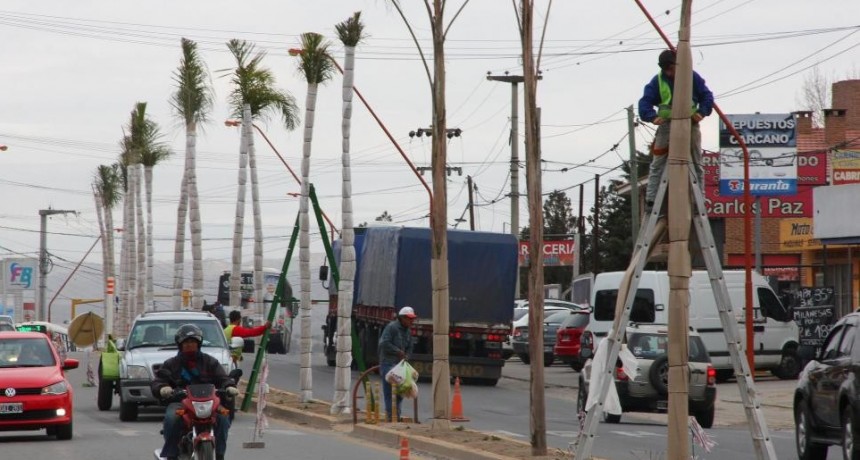 Por las heladas, en Carlos Paz &ldquo;abrigan&rdquo; a las palmeras