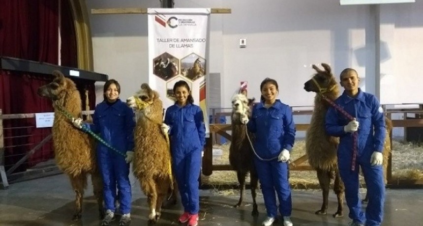 Las llamas salen a escena en la Rural